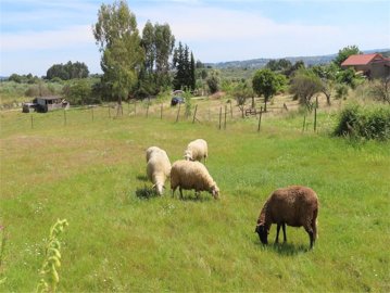 bae7c891-42fc-4288-baac-e40e68cf7047