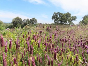 bd269c5e-c339-489e-8926-0d9b6a05147f