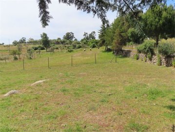 0e2dff47-4077-44f6-9e71-ec62d0617633