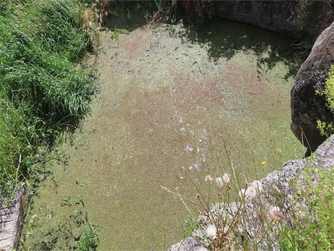 Image No.40-Propriété de 2 chambres à vendre à Castelo Branco