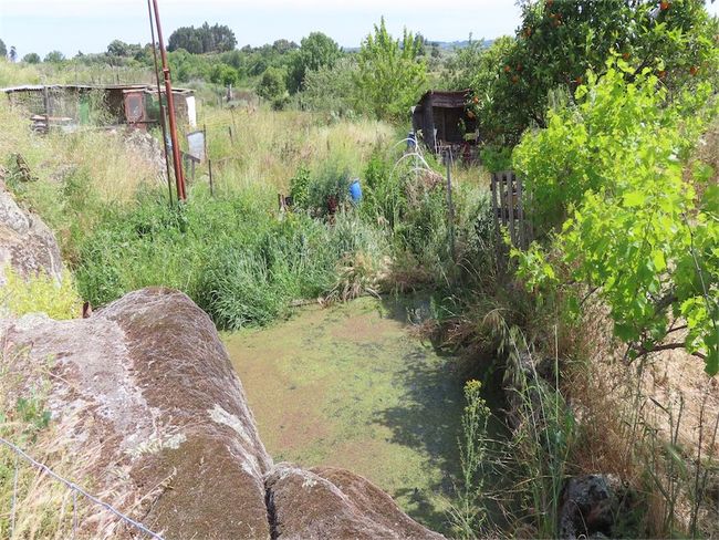 Image No.43-Propriété de 2 chambres à vendre à Castelo Branco