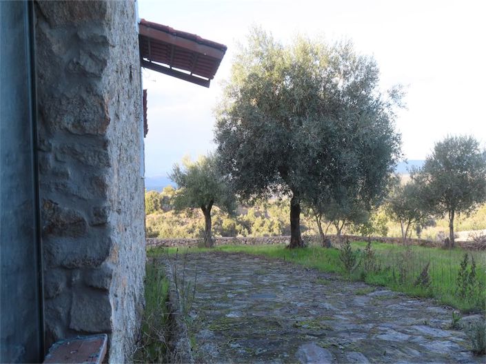 Image No.10-Propriété de 3 chambres à vendre à Castelo Branco