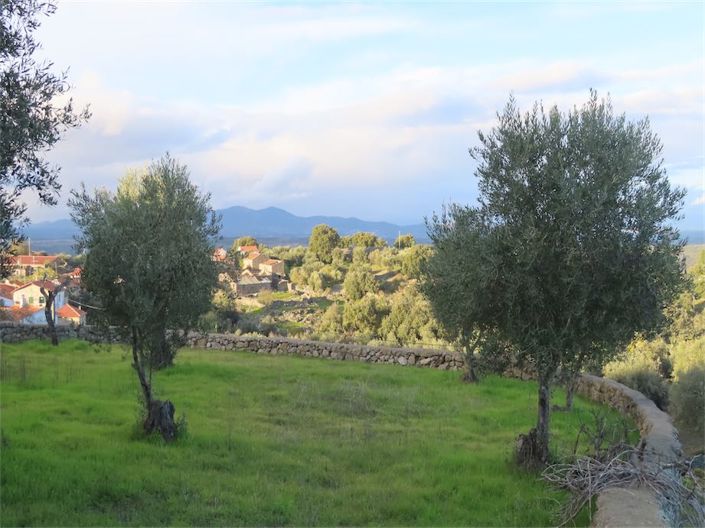 Image No.11-Propriété de 3 chambres à vendre à Castelo Branco