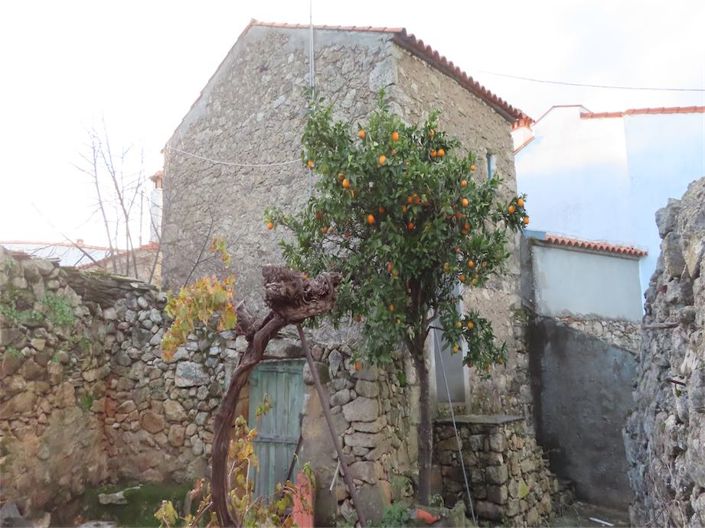 Image No.27-Propriété de 3 chambres à vendre à Castelo Branco