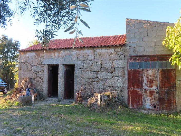 Castelo Branco, Property