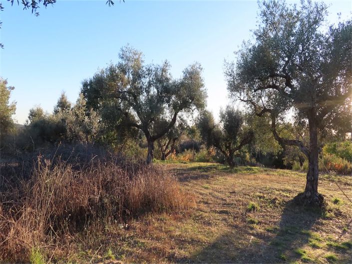 Image No.10-Property for sale