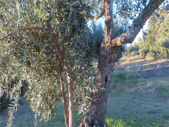 Image No.14-Property for sale