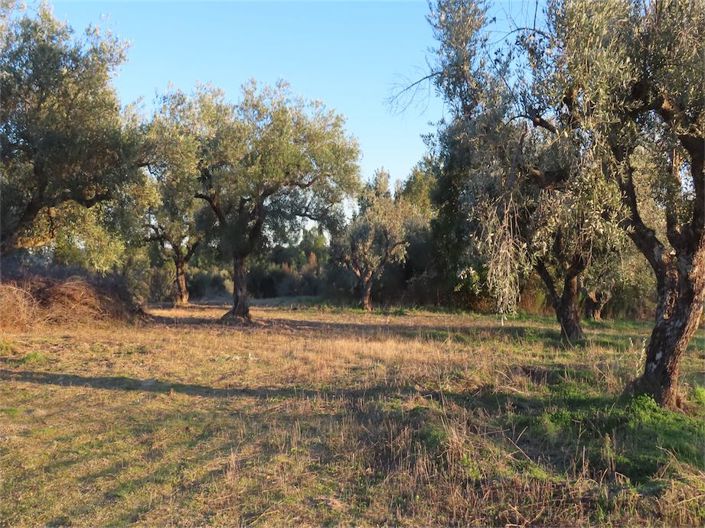 Image No.23-Property for sale