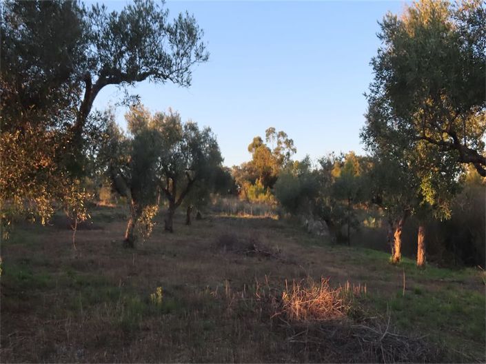 Image No.24-Property for sale