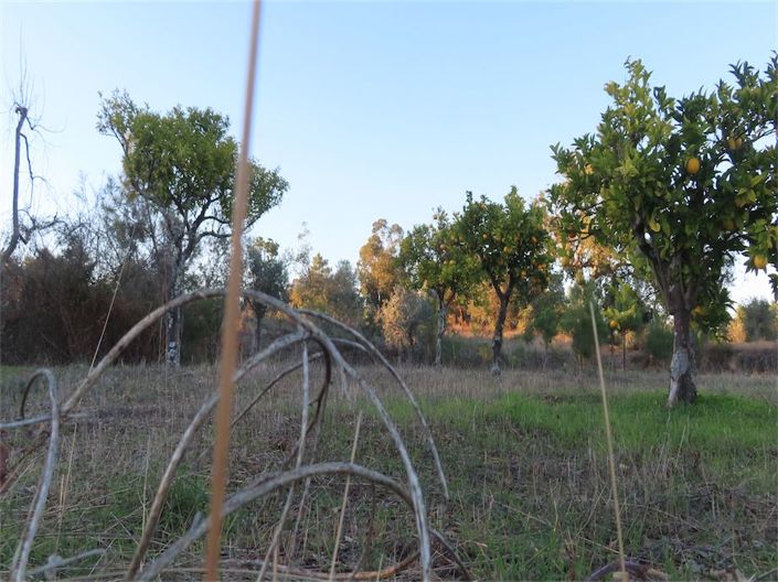 Image No.26-Property for sale