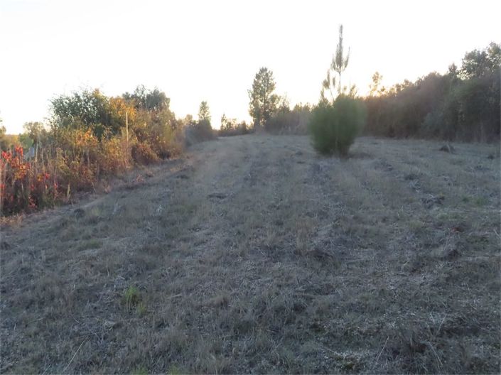 Image No.30-Property for sale