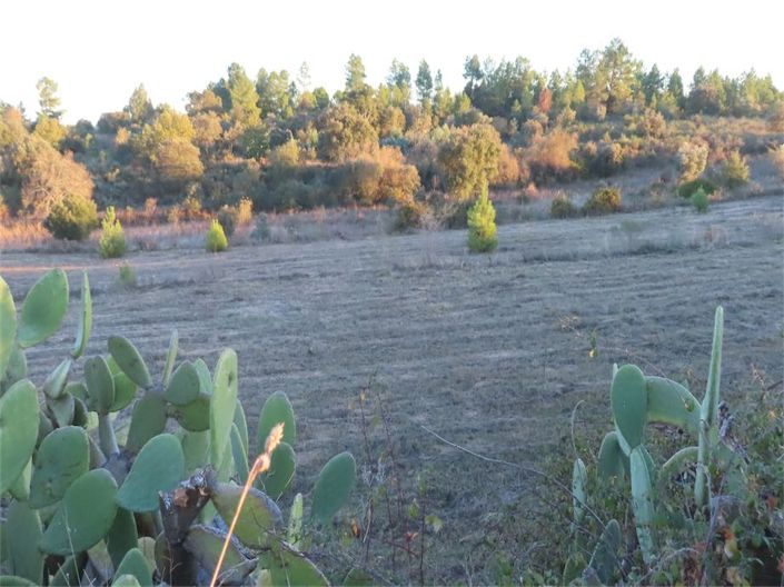 Image No.31-Property for sale