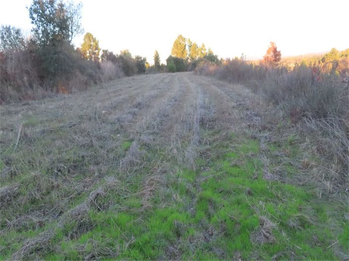 Image No.35-Property for sale