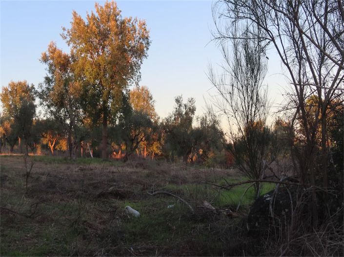 Image No.38-Property for sale