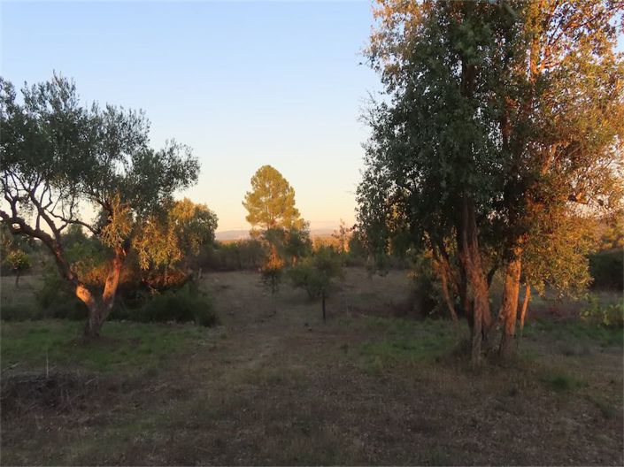 Image No.40-Property for sale