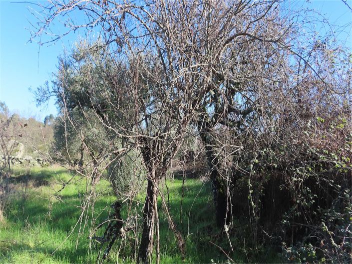 Image No.36-2 Bed Property for sale