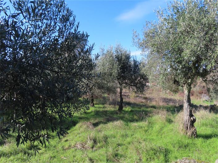 Image No.41-2 Bed Property for sale