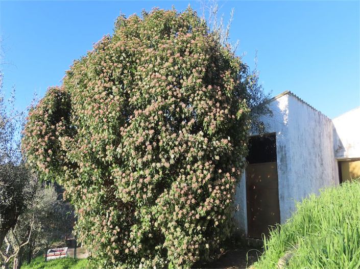 Image No.31-3 Bed Property for sale