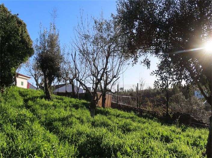 Image No.32-3 Bed Property for sale