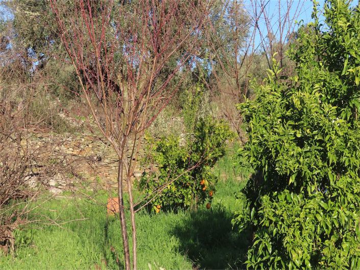 Image No.39-3 Bed Property for sale