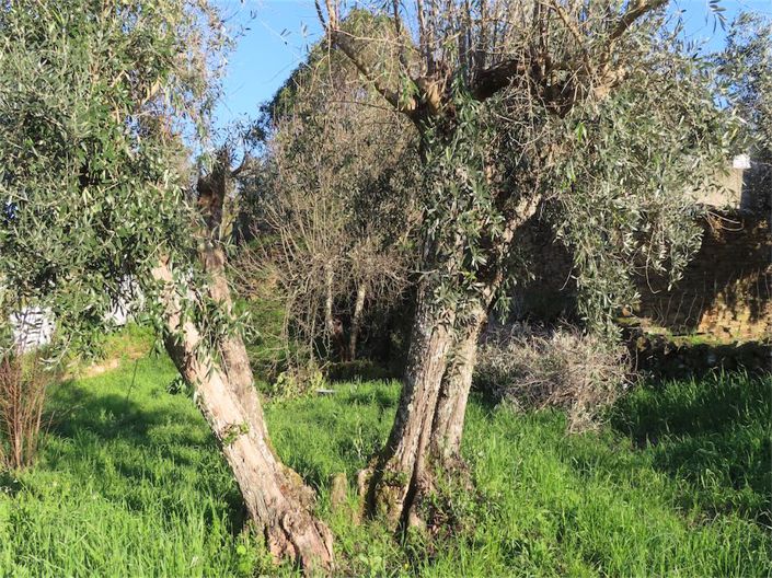 Image No.40-3 Bed Property for sale