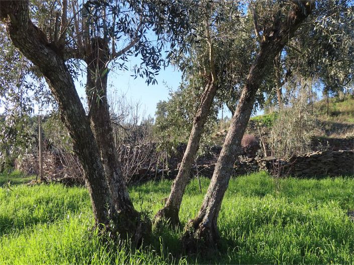 Image No.41-3 Bed Property for sale