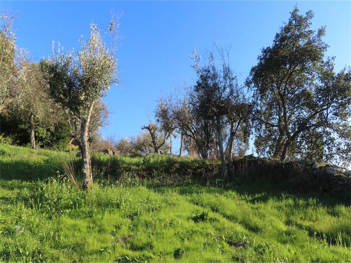 Image No.43-3 Bed Property for sale