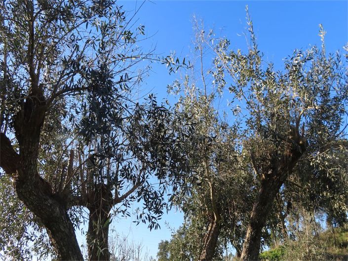 Image No.48-3 Bed Property for sale