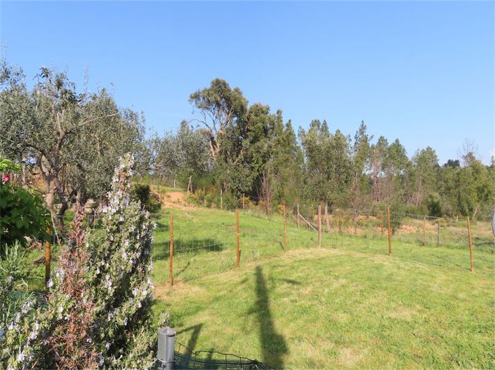 Image No.10-Propriété de 2 chambres à vendre à Castelo Branco