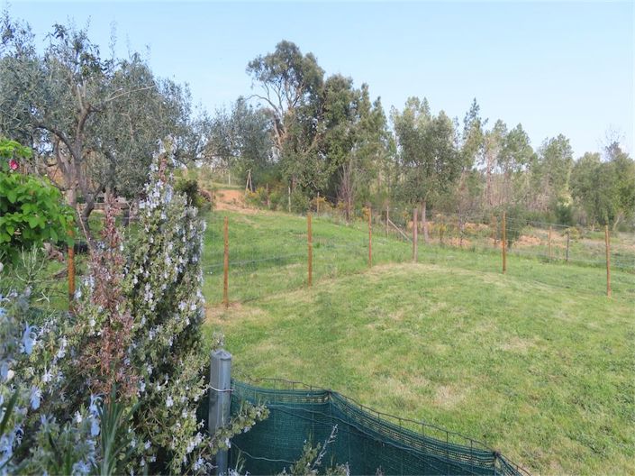 Image No.6-Propriété de 2 chambres à vendre à Castelo Branco