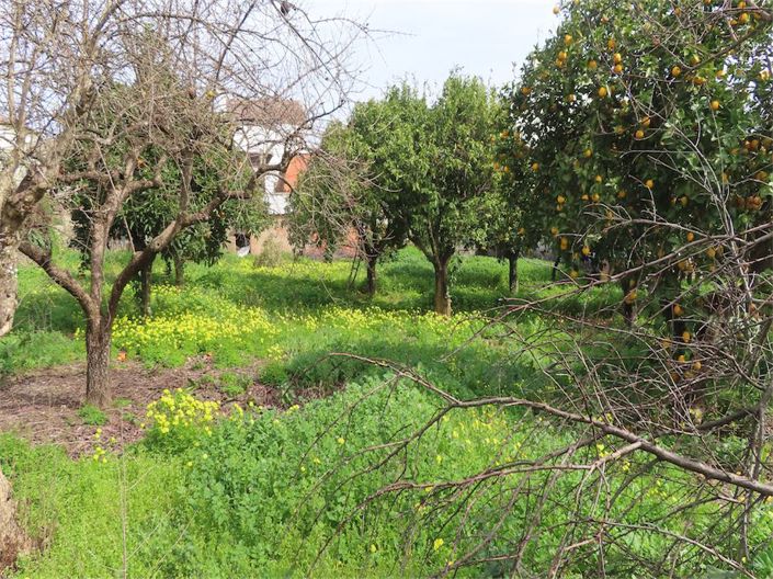 Image No.14-Propriété de 3 chambres à vendre à Castelo Branco