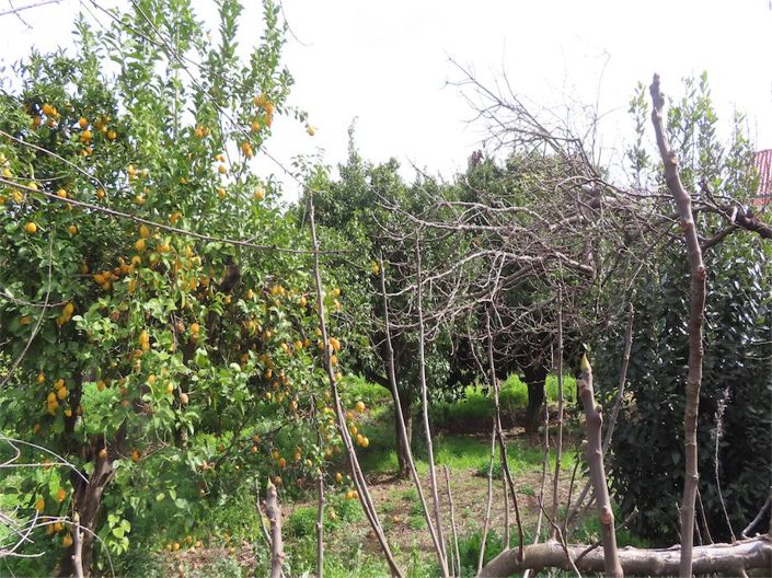 Image No.15-Propriété de 3 chambres à vendre à Castelo Branco