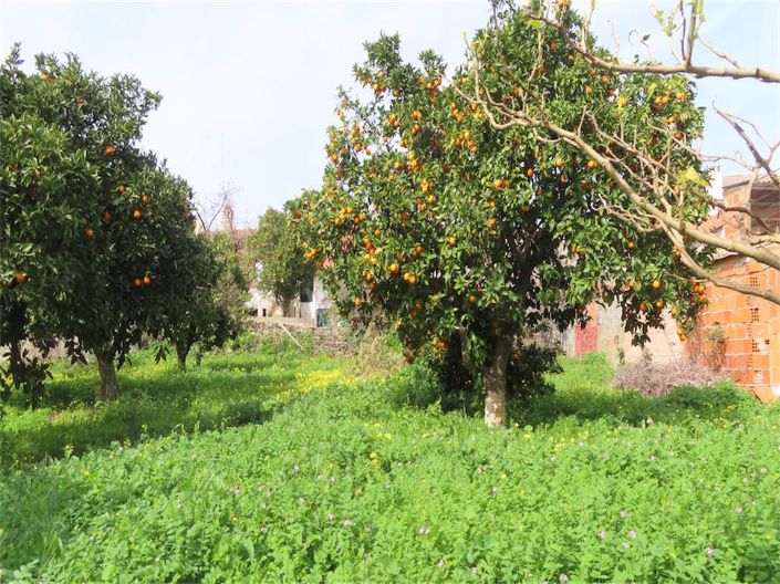 Image No.17-Propriété de 3 chambres à vendre à Castelo Branco