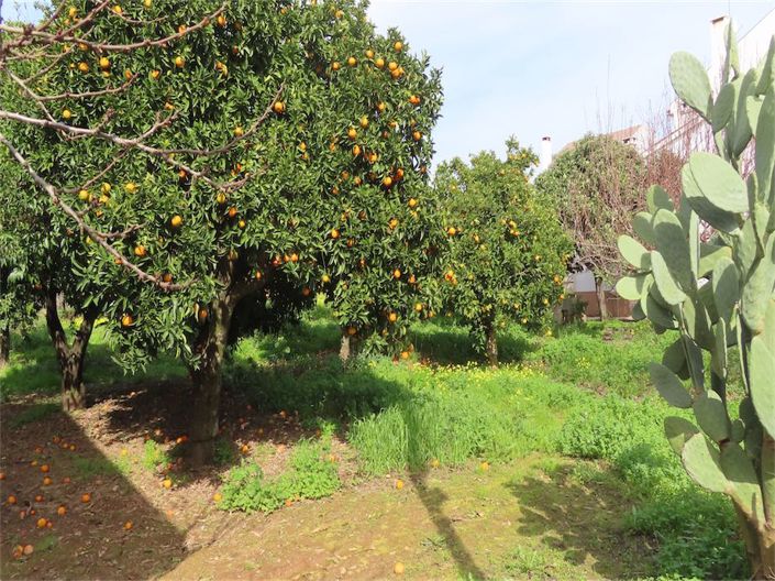 Image No.4-Propriété de 3 chambres à vendre à Castelo Branco