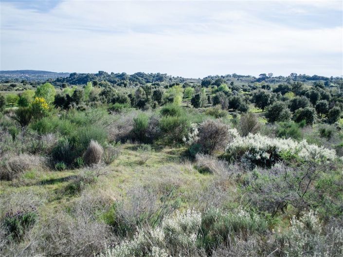 Image No.11-Property for sale