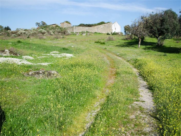 Image No.11-Propriété à vendre à Castelo Branco