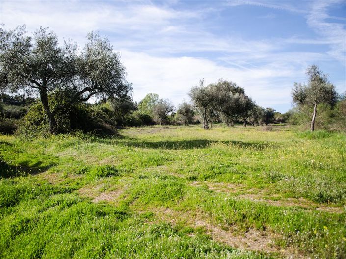 Image No.13-Property for sale