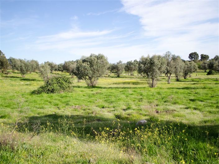 Image No.18-Property for sale