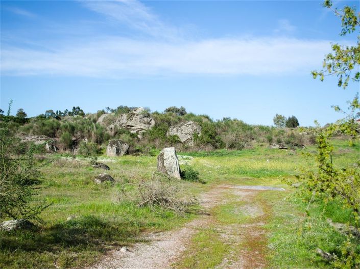 Image No.19-Property for sale