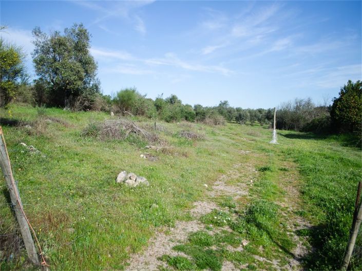 Image No.21-Propriété à vendre à Castelo Branco