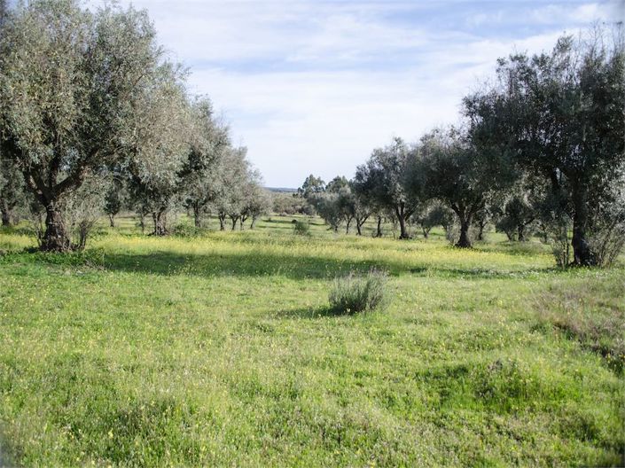 Image No.22-Property for sale