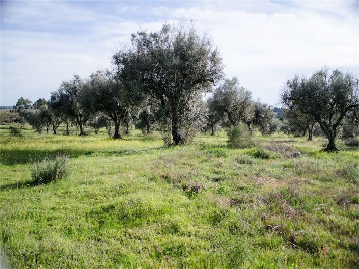 Image No.23-Property for sale