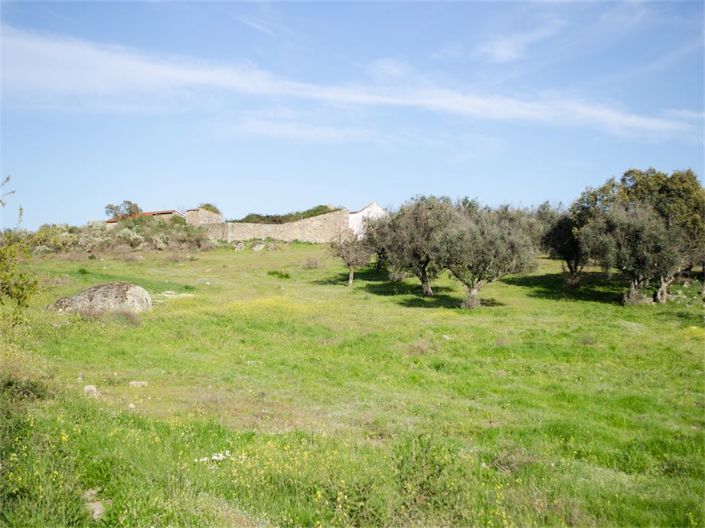 Image No.24-Propriété à vendre à Castelo Branco