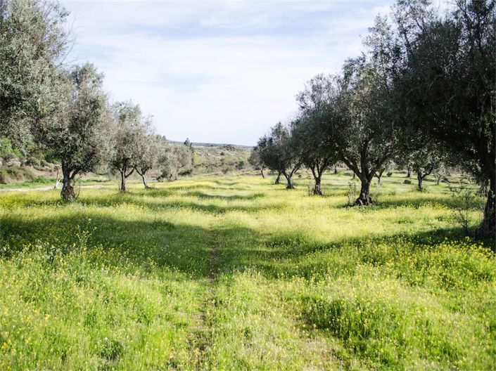 Image No.25-Property for sale