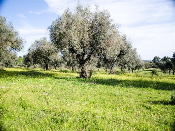 Image No.26-Property for sale