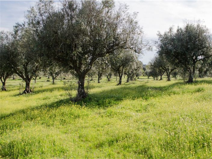 Image No.27-Property for sale