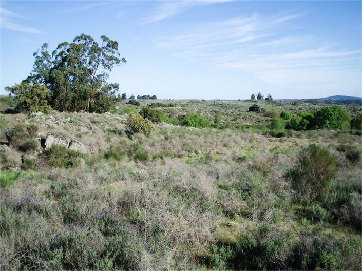 Image No.9-Property for sale