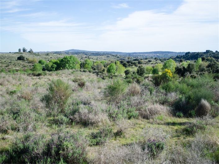 Image No.10-Property for sale