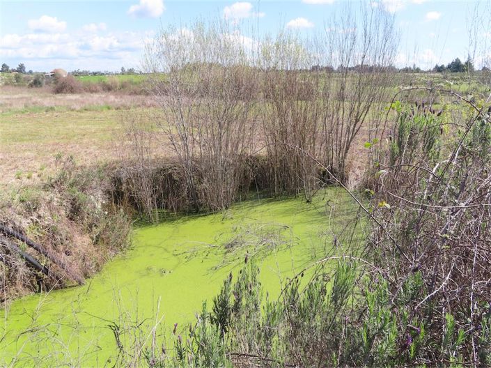 Image No.10-Property for sale