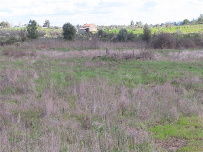 Image No.12-Property for sale